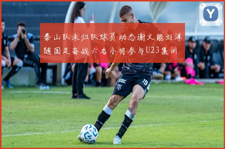 泰山队未归队球员动态谢文能刘洋随国足备战六名小将参与U23集训